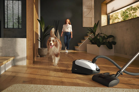 Miele Classic C1 Cat & Dog PowerLine Vacuum cleaning hardwood floor with dog – Lotus White