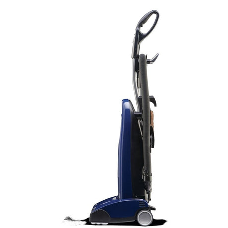 Riccar Tandem Air Deluxe Upright Vacuum R30D.6: HEPA Dual-Motor Cleaner - Avon Vacuums